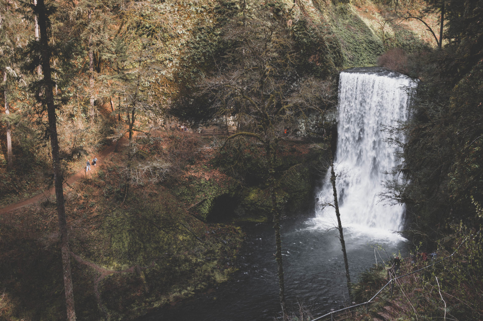 Field Notes: Silver Falls State Park, Oregon