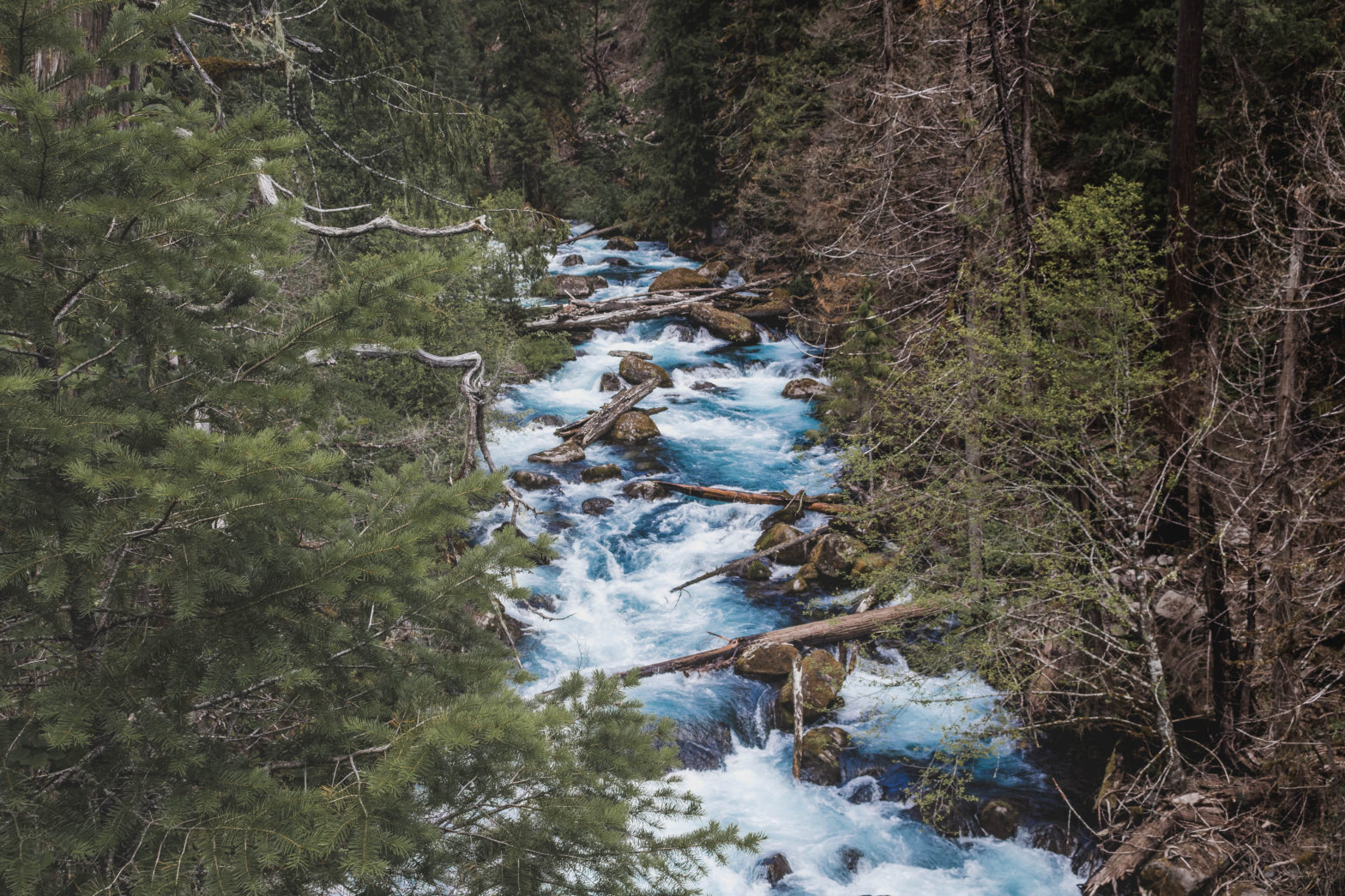 Tamolitch Falls (Blue Pool) Hike, Oregon