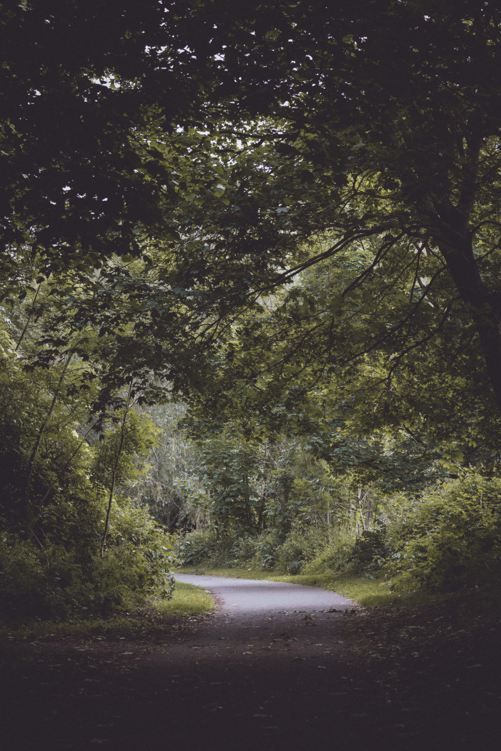 Esk River Walk